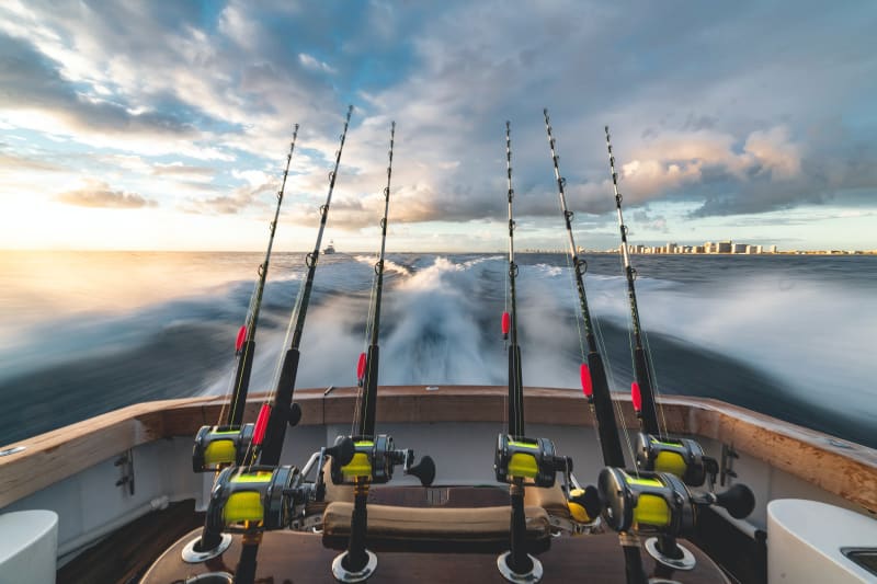 Best bass fishing rods by @Fishing_Diary - Listium