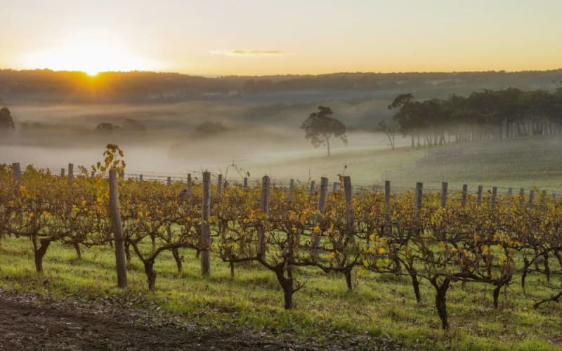 Margaret River Wine Region