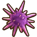 Purple Urchin