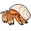 Hermit Crab