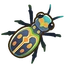 Tiger Beetle
