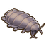 Giant Isopod