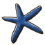 Blue Starfish