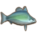 マッコーリーパーチ