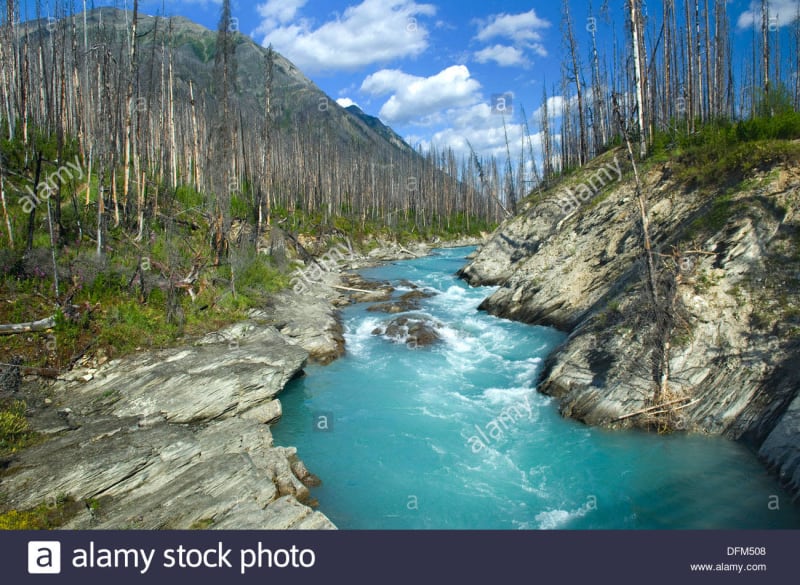 Kootenay National Park