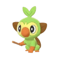 Grookey
