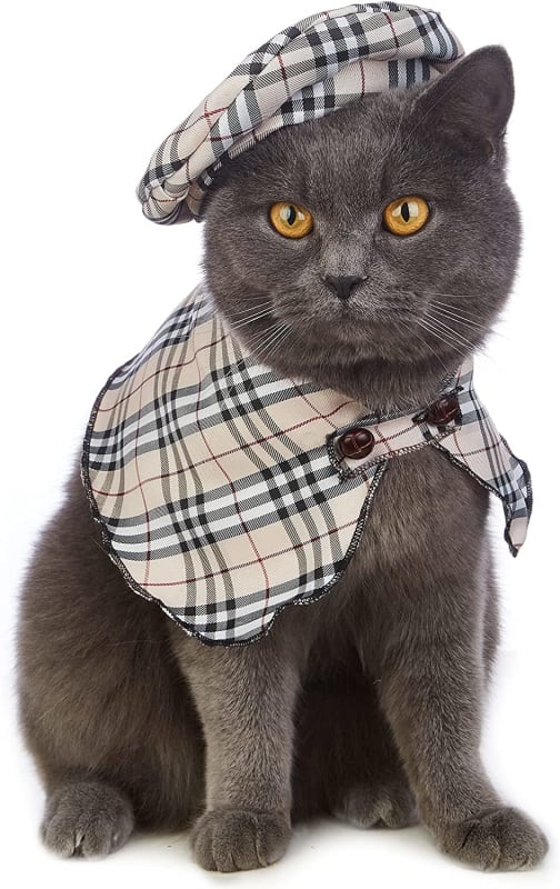 Cat Halloween Costume Cute