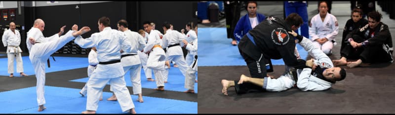 Bujutsu Martial Arts