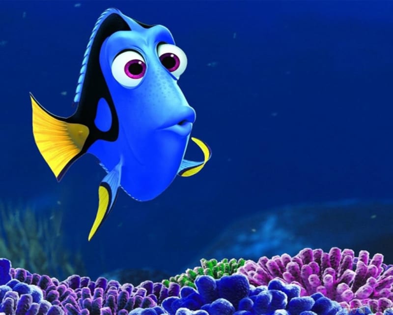 Dory