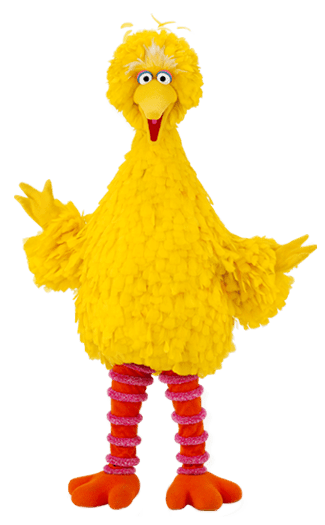 Big Bird