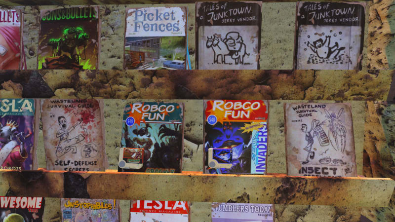 FO4 Magazines