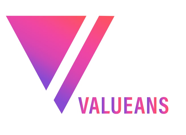 Software Development Services at Valueans