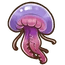 Mauve Stinger Jellyfish