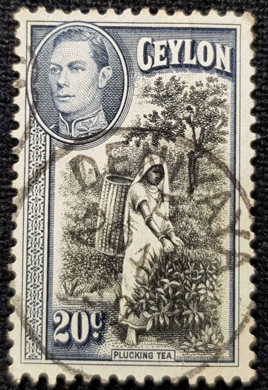Ceylon