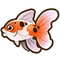 Goldfish