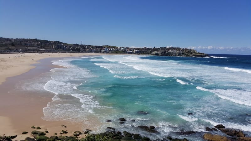 Join a beach clean-up and help keep Sydney's beaches beautiful.