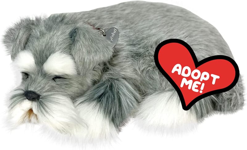 Original Petzzz Schnauzer